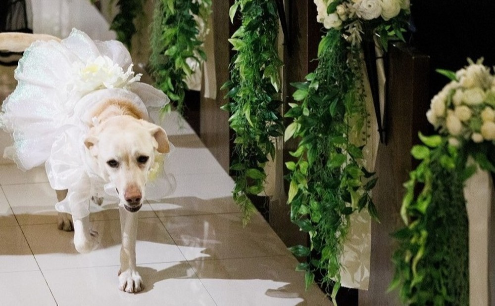 笑顔が笑顔を呼んだ日